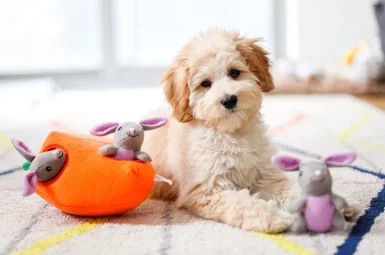 dogs-toys